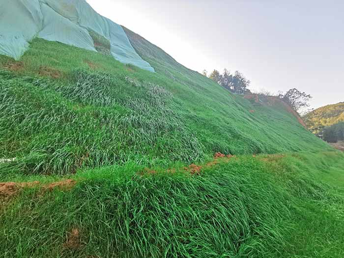 常德市鼎城区石板滩镇石煤矿区伍房石煤矿（防治I区）生态环境香蕉污视频免费在线观看工程