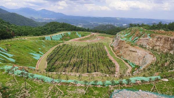 新邵县三郎庙铅锌锑矿和鸿发采石场综合治理与生态香蕉污视频免费在线观看工程项目（EPC）总承包