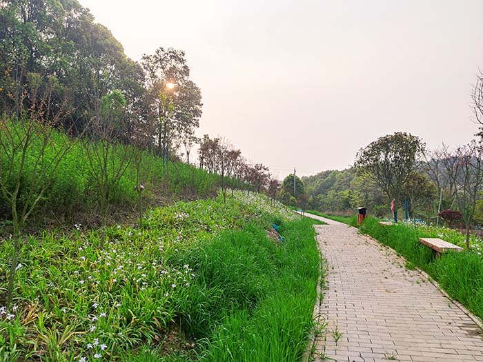 衡阳市常宁水口山铅锌煤矿区山水林田湖草生态保护香蕉污视频免费在线观看试点工程